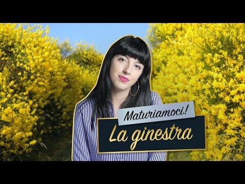 Giacomo Leopardi – La ginestra || Analisi e commento 🏵