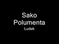Sako Polumenta - Ludak 