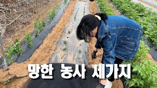 망한 농사 세가지