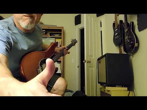 Friedman Runt 20 Combo first test