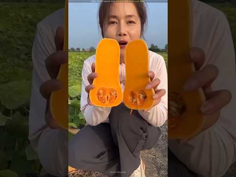 World's most unique pumpkin cultivation 😨