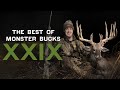 50 Minutes Of The Best Deer Hunts From Monster Bucks 29 Giant Whitetail Deer Hunts