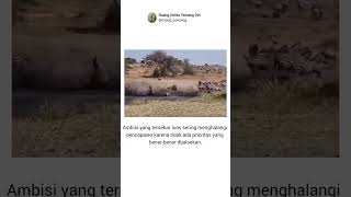 Download lagu Ambisi tidak fokus-reposting mp3