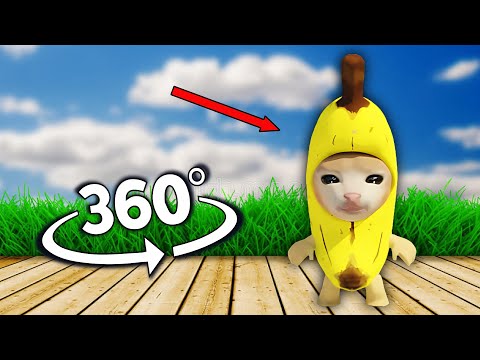 Banana Cat Finding Challenge But It's 360 degree video #4