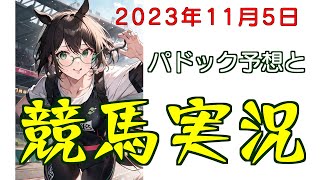 パドック予想で競馬実況.2023.11.5