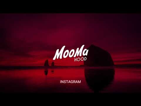 #RitEsh & Gaurauv - Instagram ( 2019 FLIP )