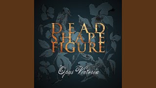 Dead Shape Figure - Fake King's Day video