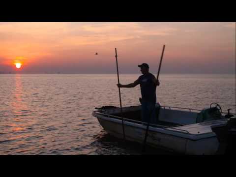 download lagu mp3 mp4 First Light Oysters, download lagu First Light Oysters gratis, unduh video klip First Light Oysters
