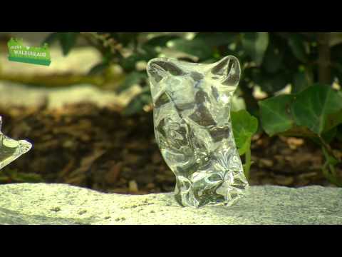 Mein Waldurlaub: Joska