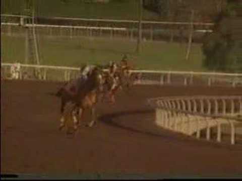 Affirmed - 1979 Santa Anita Handicap (Partial)
