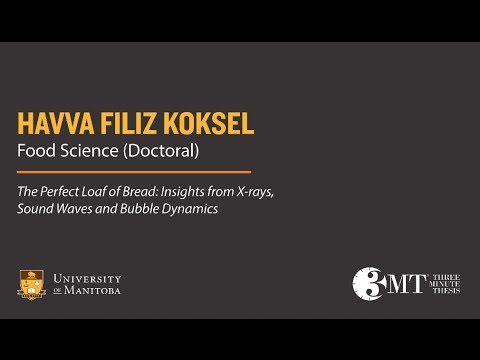 People's Choice Winner: Havva Filiz Koksel, 3MT Finals, February 25, 2014