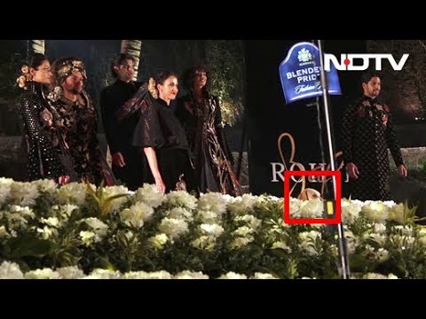 Dog Crashes Sidharth Malhotra's Ramp Walk In Hilarious Video