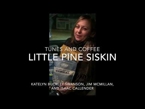 FTC #32 Little Pine Siskin