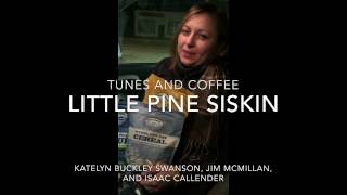 FTC #32 Little Pine Siskin
