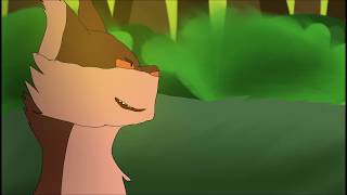 PROPER FUNDS (lioncoin) part 1