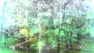 and life begins ★°•.☆ Shakra (lyrics) HD