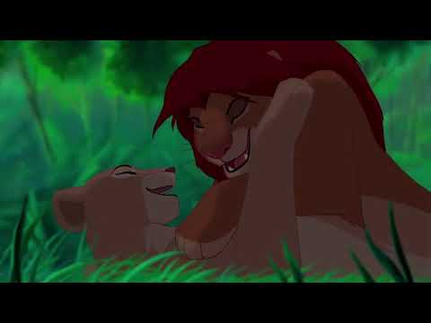 L'amour brille sous les étoiles - Le Roi Lion