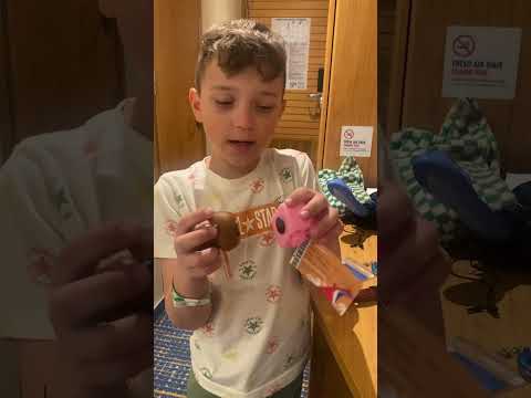 Thumbnail for Carnival sunrise interior room tour