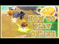 Setup Citra To Play Online Multiplayer For ANY Game