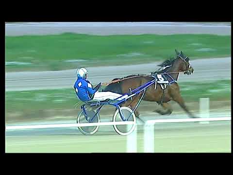 Trotto 28/11/2020 - 7ª corsa