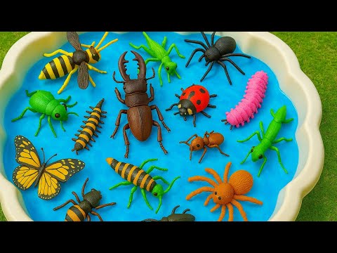 Learn Bug Homes with Toys & Real Insects | Learn Bug & Insects Name For Kids | Learn Preschool Kids
