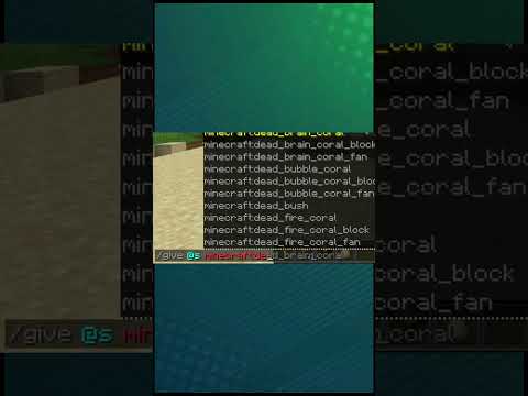 How to get a debug stick in Minecraft #minecraft #java #commands