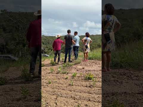 Atendimento de sábado no lago Corumbá IV em Alexânia GO  #meulagocorumba #lagocorumba4