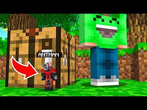 ANT MAN HIDE And SEEK In Minecraft!