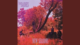 Music video thumbnail preview for Never Again by The Sadies