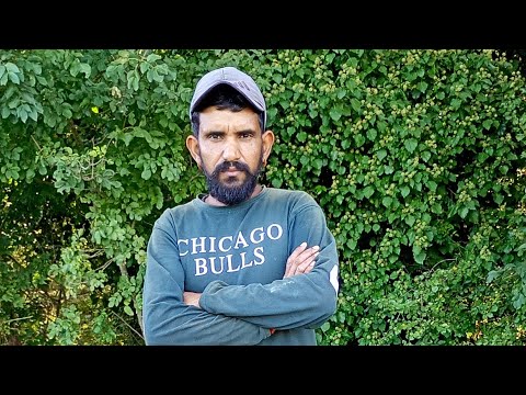 Settembre 2025 Uva 🍇 Italia Verona Hills Best Morning vibe nature so fantastic 