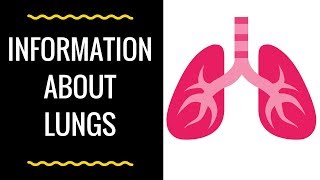 Information about lungs