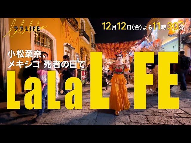 ララLIFE 顔面骸骨メイクでメキシコのお祭り・死者の日に望む【完結篇】🈑