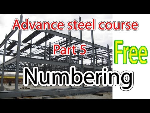 advance steel multi story building course part 5 - Numbering