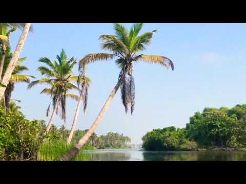 Shyama sundara keralam. God’s own country.