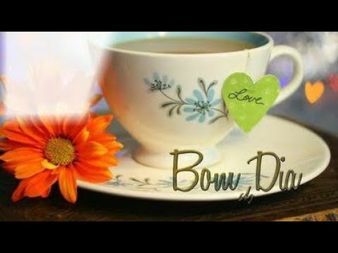 Vídeo: Mensagem WhatsApp Bom Dia: perguntas e respostas