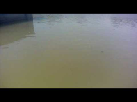 jaibeer Dhillon SAMAIN TOHANA HARYANA