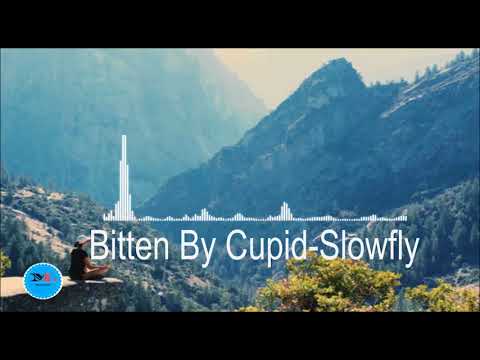Bitten By Cupid By Slowfly  [Soul Music]