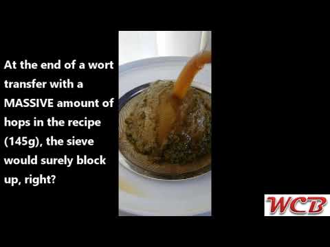 Self cleaning sieve 2019 11 24