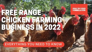 How to Start Free Range Chicken Farming Business (HD Quality)