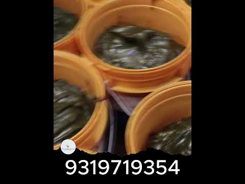 Chasis Grease