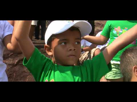 download lagu mp3 mp4 Forest For Life, download lagu Forest For Life gratis, unduh video klip Forest For Life