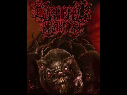 Coffin Full of Rats - Cold Steel in Warm Flesh