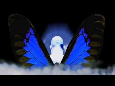 Chuang Tzu's Dream / Chuang Tzu álma - Bella Máté