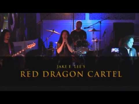 Red Dragon Cartel - Shout It Out