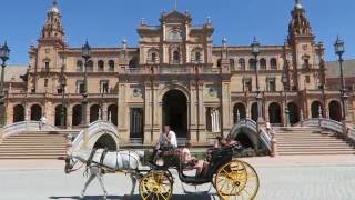 SEVILLA SPAIN in a Day!