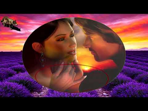 LIBERTAS-DA PROPLACU CRNE OCI (TEKST)