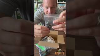 ANOTHER mystery box. Maybe DICE inside?