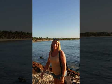 Sargassum Mexico update August 9th 2021 Grand Palladium Playa Del Carmen Beach review