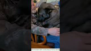 Dog vs Dad🤣#funnydog #doglover #fyp #doglife #cutedog