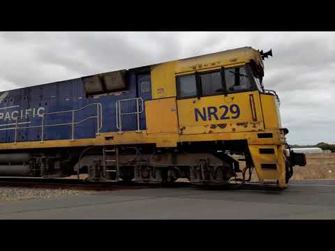 fast pacific national freight train
